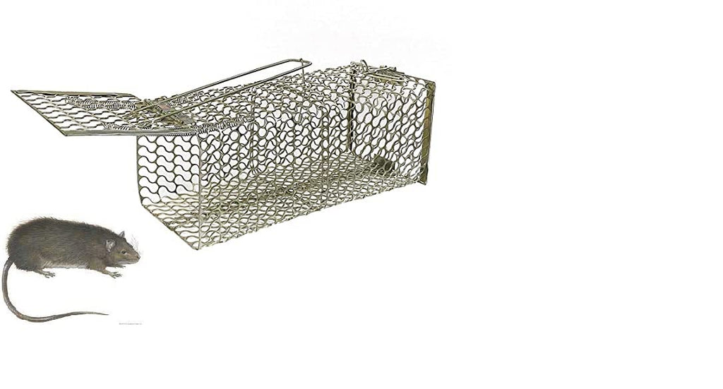 JS Rat Trap - open trap view