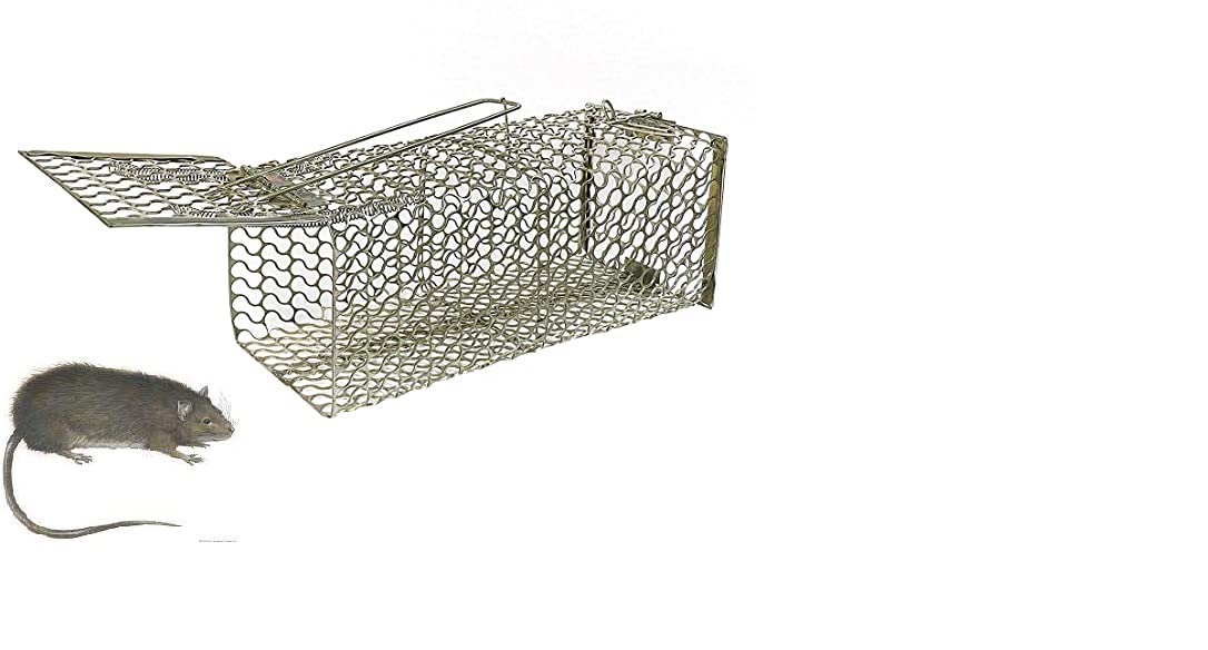 JS Rat Trap - open trap view