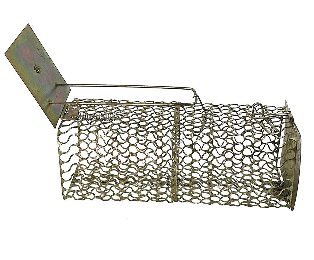 JS Rat Trap - side view